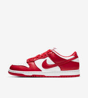 Nike Dunk SB Red