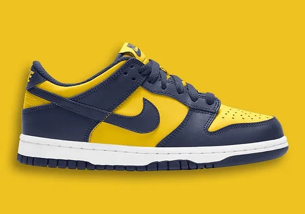 Nike Dunk Low Michigan (GS)